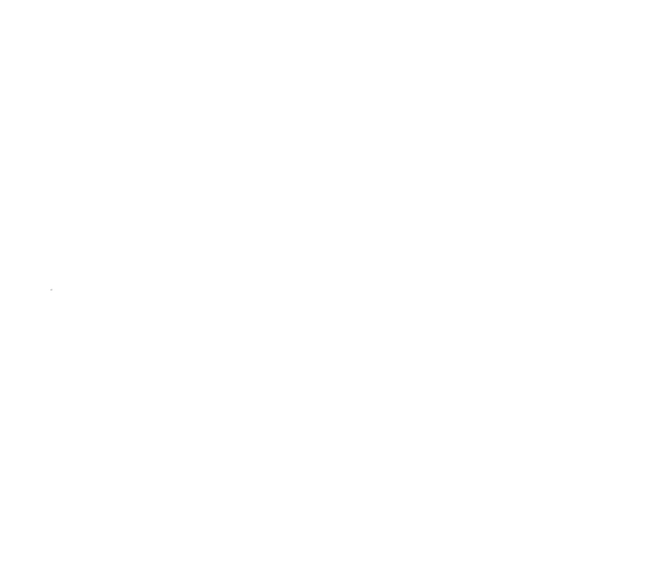 Onoranze Funebri Battistoli